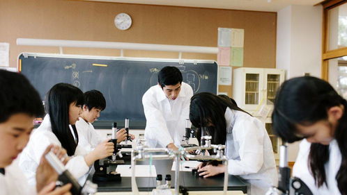 第一高中教育集團的成功秘訣到底是什么