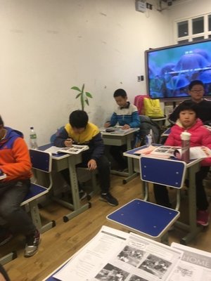 教學/教務管理_北京依心唯優教育咨詢招聘信息
