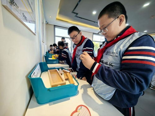填補教育系統(tǒng)心理研學行業(yè)空白 全國首家青少年學生心理健康成長研學基地在平陰正式啟動